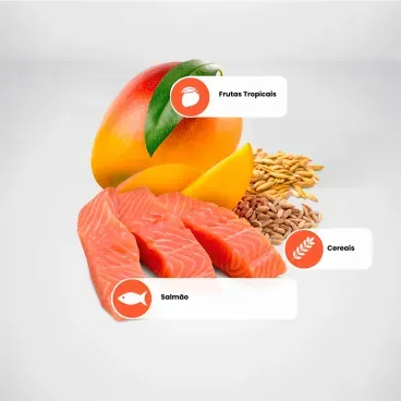 Racao N-D Tropical Selection Caes Adultos Medium e Maxi Salmao principais ingredientes